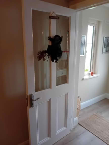 Photo of free Internal door (Naas, Co. Kildare) #2