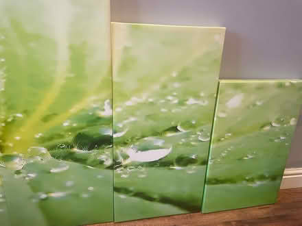 Photo of free Set of 5 canvas (Little Sutton CH66) #3