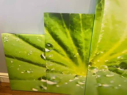 Photo of free Set of 5 canvas (Little Sutton CH66) #2