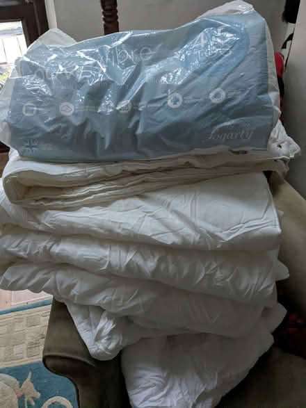 Photo of free 4 single duvets (Bethesda LL57) #1
