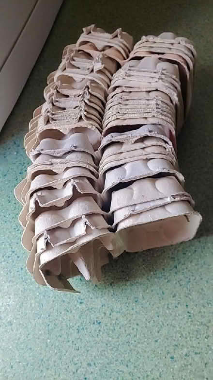 Photo of free Egg Boxes (Twyford RG10) #1