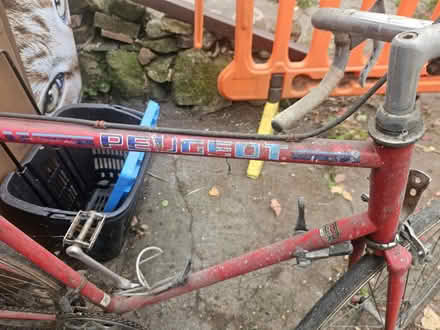 Photo of free Vintage road bike (SY11) #2