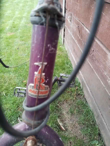 Photo of free Adult Raleigh Bike (Ash Green, GU12) #3