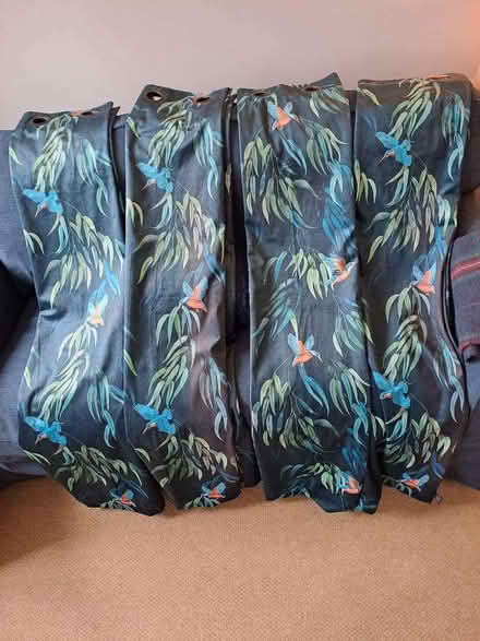 Photo of free Dunelm Curtains (Coburgh Corner TQ13) #1