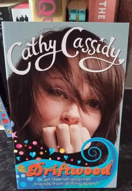 Photo of free Young Adult Fiction Books (LE8 5AH) #2