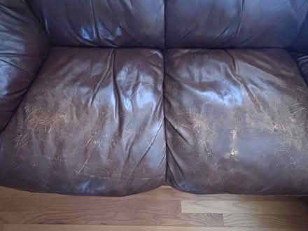 Photo of free Leather Sofa (North Plainfield) #3