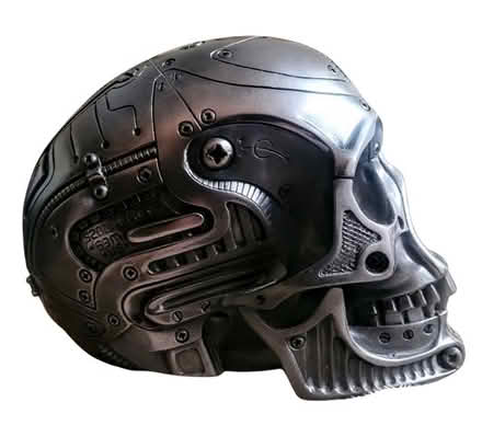 Photo of free two skulls are better than one (San Rafael/Montecito Area) #3