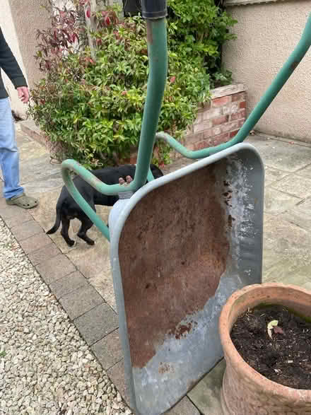 Photo of free Wheelbarrow (Bussage GL6) #1