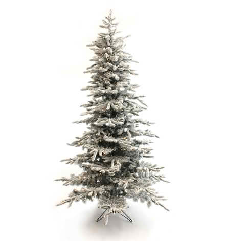 Photo of free Flocked artificial Christmas (Amber meadows 21702) #1