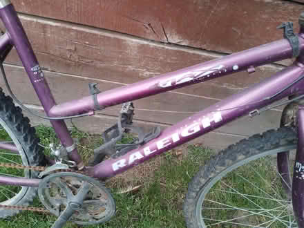 Photo of free Adult Raleigh Bike (Ash Green, GU12) #4