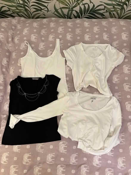 Photo of free Tops - size 12 (Rodborough) #1