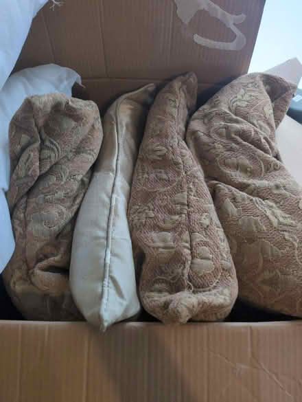 Photo of free 6x small cushions (Portchester PO16) #2