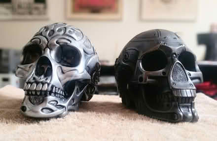 Photo of free two skulls are better than one (San Rafael/Montecito Area) #1