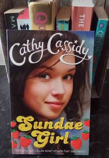 Photo of free Young Adult Fiction Books (LE8 5AH) #3