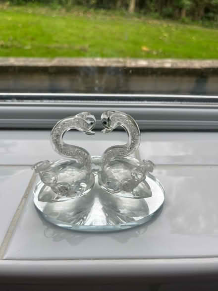 Photo of free Ornament, swans (Fairfield Park) #1