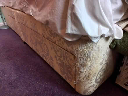 Photo of free Double Divan Bed with Castors (Collyhurst M40) #2