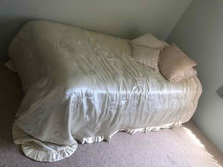 Photo of free Single bed never used (Hillarys) #1
