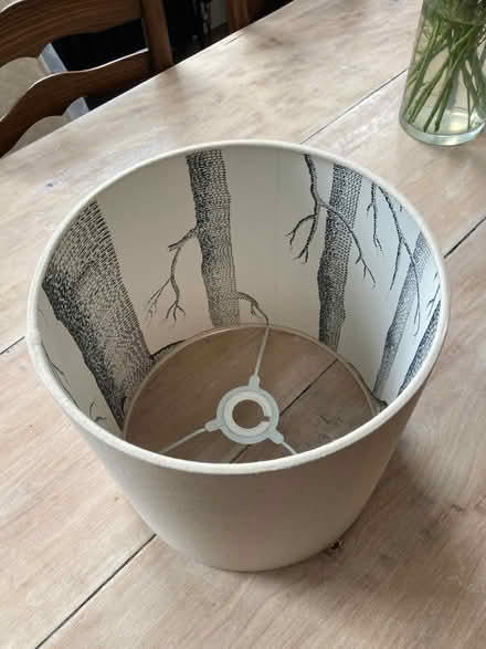 Photo of free Lamp Shade (Bradford on Avon BA15) #1