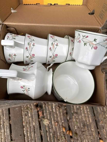 Photo of free Eternal bow cups (Daisy Hill BD9) #1