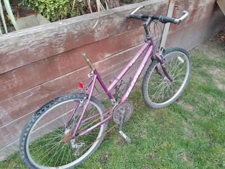 Photo of free Adult Raleigh Bike (Ash Green, GU12) #1