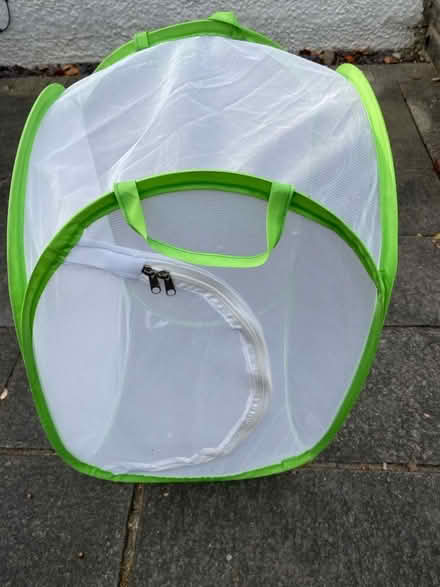 Photo of free Stick insects enclosure (Craiglockhart EH14) #2