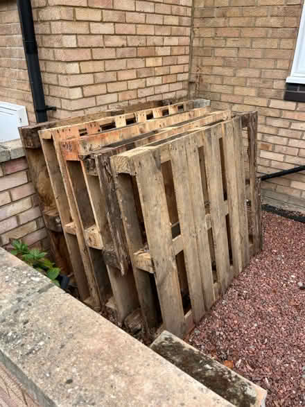 Photo of free Pallets (Cambridge) #1
