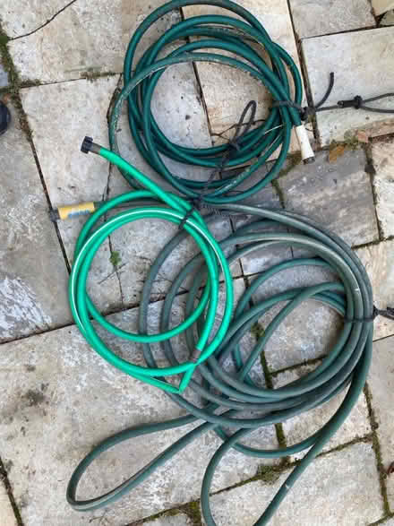 Photo of free Hoses (3) (Nr Fresh Pond & Mt Auburn Cem.) #1