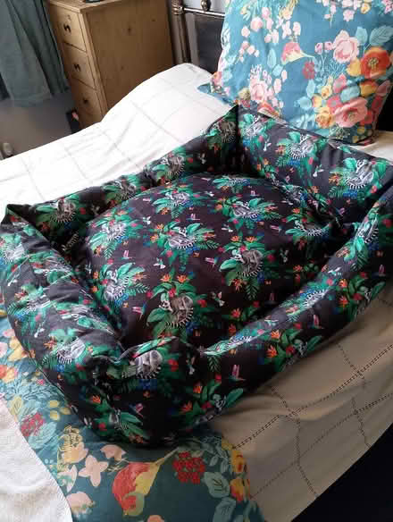 Photo of free Pet bed - Barely used (Grove OX12) #1