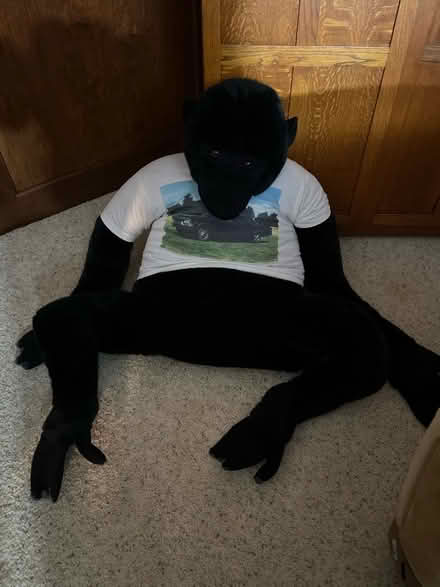 Photo of free Gorilla Stuffed Animal (Farmington Hills) #1