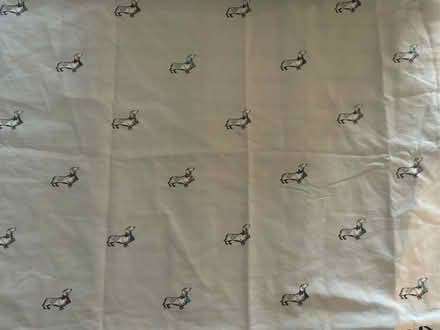 Photo of free King size duvet cover & pillow cases (sausage dogs) (Monkstown BT37) #1