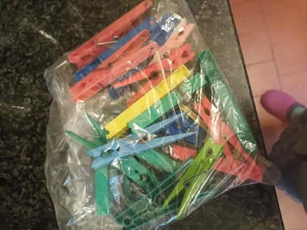 Photo of free Bag of plastic clothes pegs (Frankwell SY3) #1