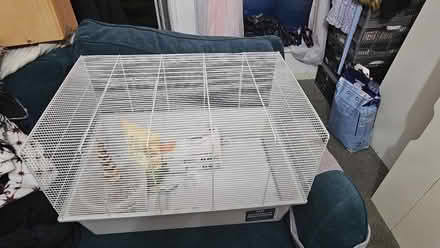 Photo of free Hamster cage (Canford Heath BH17) #1