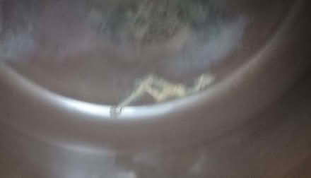 Photo of free Large enamelled saucepan (Hoylake CH47) #2