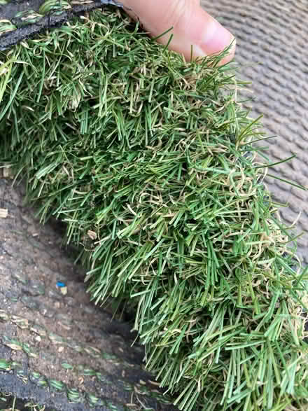 Photo of free Artificial Grass (Heysham LA3) #1
