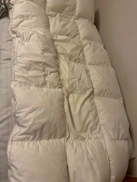 Photo of free 2 x Single bed duck feather toppers (Ashford TW15) #1