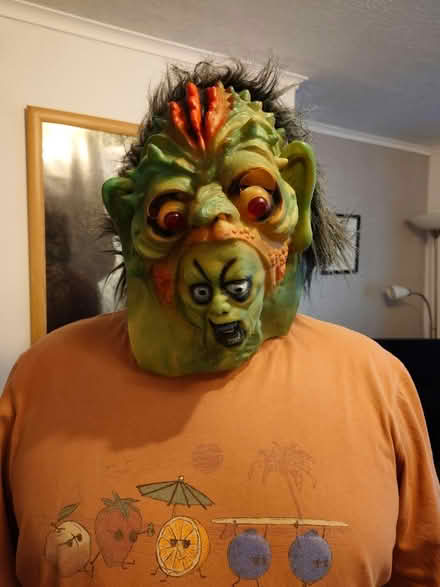 Photo of free Mask (Denholme BD13) #2