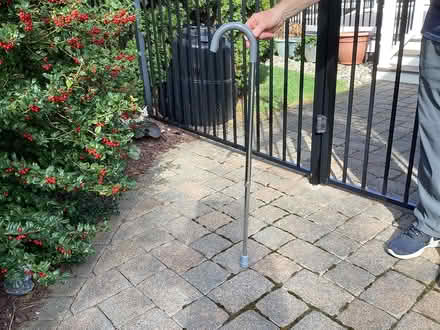Photo of free Adjustable Metal Cane (Laurel Avenue/Takolusa Dr.) #1