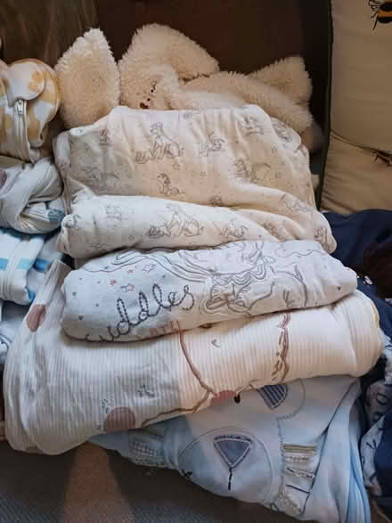 Photo of free Baby sleeping bags (Cutteslowe OX2) #2