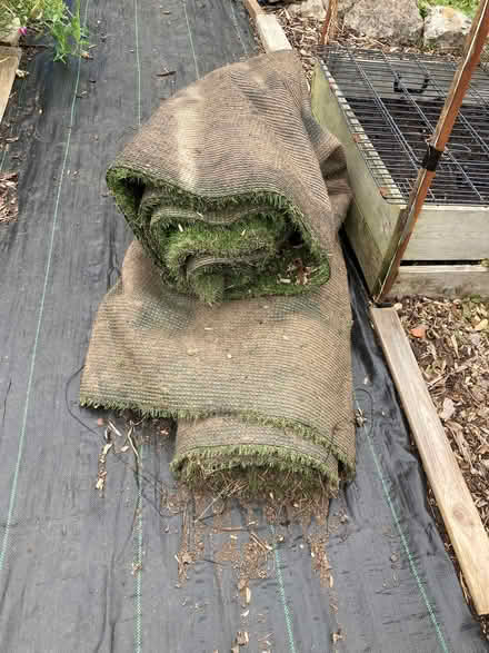 Photo of free Artificial Grass (Heysham LA3) #2