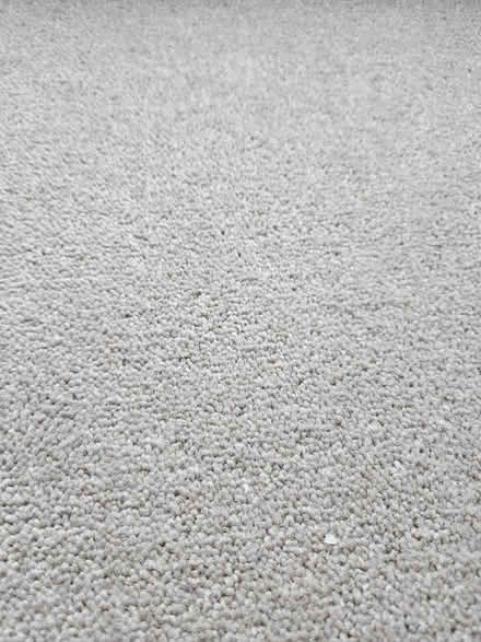 Photo of free Brand new carpet 5m x 3m (Lavant PO18) #1