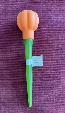 Photo of free Pumpkin-Shaped Turkey Baster (Cupertino - DeAnza and 280) #1