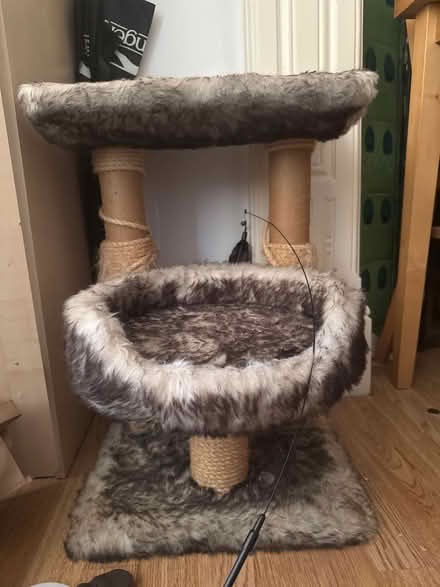 Photo of free Cat tree + medium cat bed (Willesden green) #1