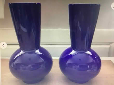 Photo of free Pair of blue vases (Walderslade Bottom ME5) #1