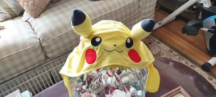 Photo of free Pikachu (Everett) #1