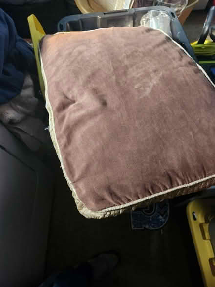 Photo of free 3 pillows (Temple Hills,MD) #2