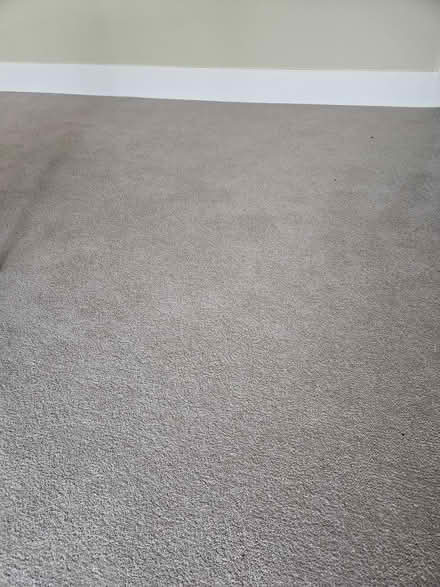 Photo of free Brand new carpet 5m x 3m (Lavant PO18) #2