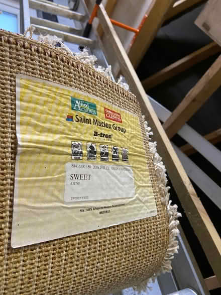 Photo of free Extra large beige shaggy rug (Bussage GL6) #3