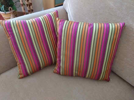 Photo of free Small cushions x 2 (Clerwood EH12) #1