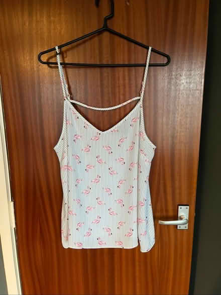 Photo of free Size 16 cami top (Thringstone LE67) #1