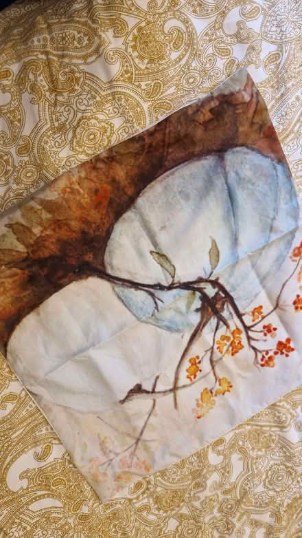 Photo of free Cushion cover (Yapton BN18) #1